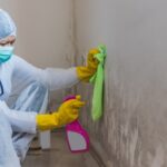 Mold Inspections